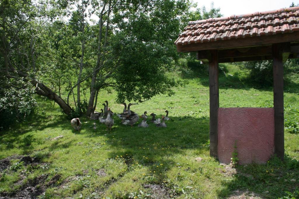 Gites Du Kreuzweg Le Hohwald Kültér fotó