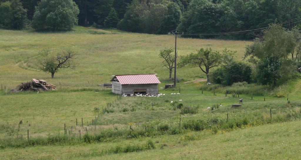 Gites Du Kreuzweg Le Hohwald Kültér fotó