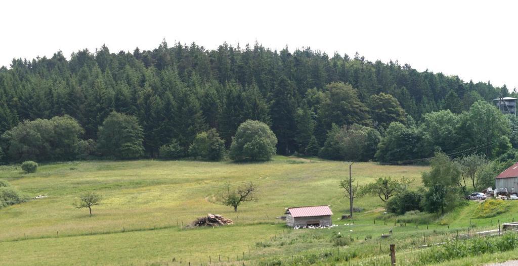Gites Du Kreuzweg Le Hohwald Kültér fotó